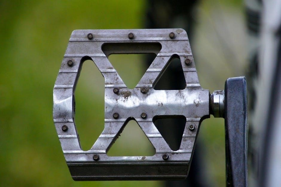 frame bike size guide